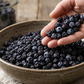 Dried Blueberries