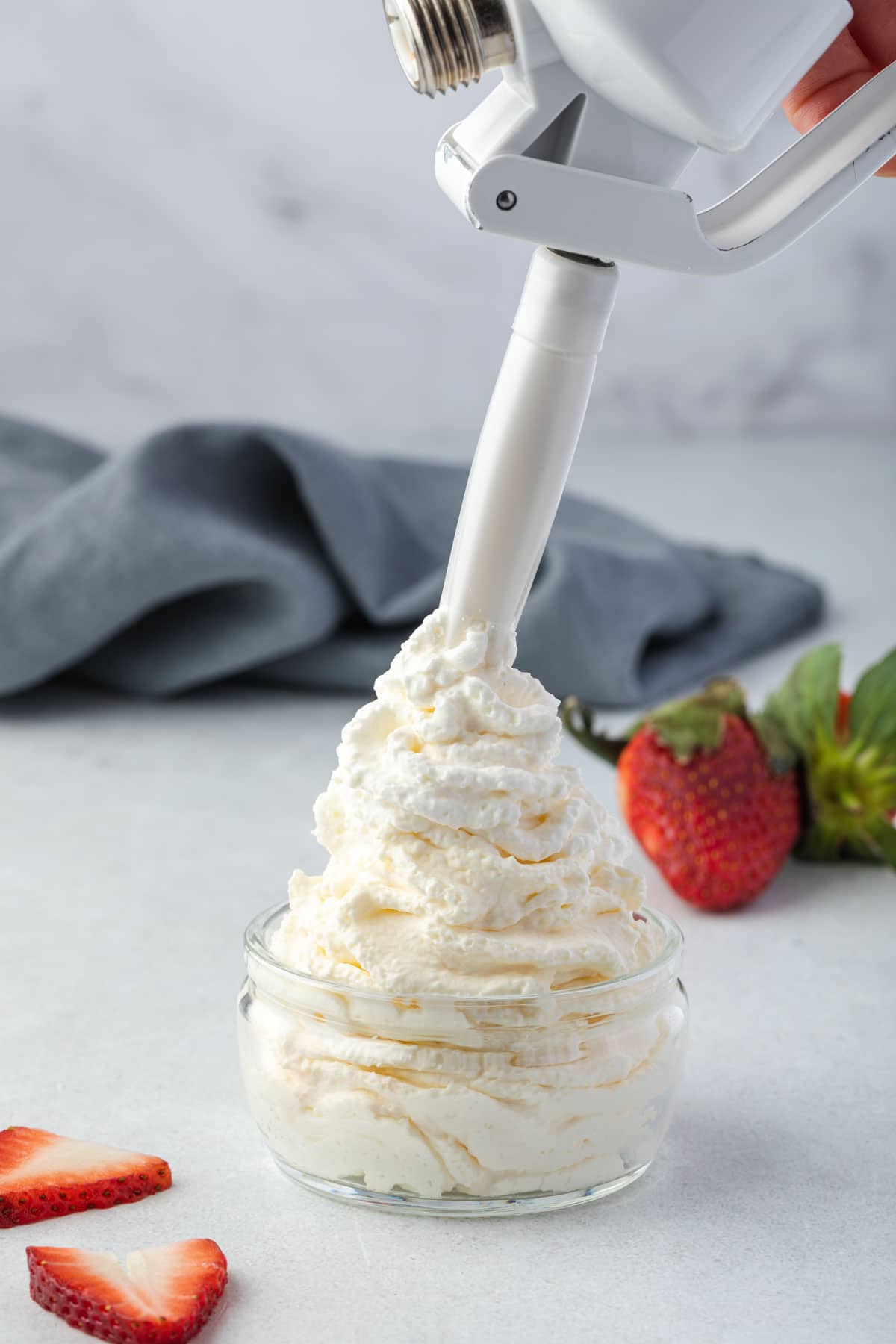 Whipped Cream Spray Case