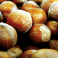 MEC3 Hazelnut Pasta Selection